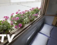 Albergue Logroño: la opción perfecta para peregrinos del Camino de Santiago a precios accesibles todo el año