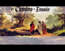Religioso «Cánticos del Camino de Santiago: La música que acompaña a los peregrinos en su turismo religioso