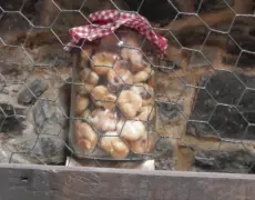Furelos, Lugo: Un destino imperdible en el Camino de Santiago para los peregrinos y amantes del turismo en Galicia