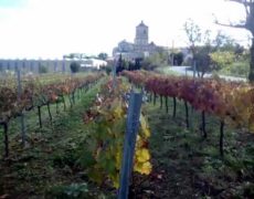 Descubre el Monasterio de Iratxe en Ayegui: Un impresionante destino para peregrinos del Camino de Santiago y amantes del turismo