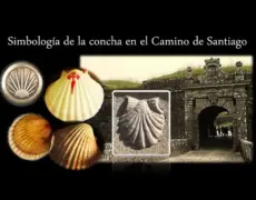 Descubre el significado de la concha de vieira en el Camino de Santiago: Guía para peregrinos y turistas