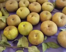 Tarta de Manzana del Bierzo: Un postre delicioso para los peregrinos del Camino de Santiago en su ruta turística de comida