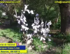 Albergue Casa Lixa Las Herrerías: tu hogar en el Camino de Santiago